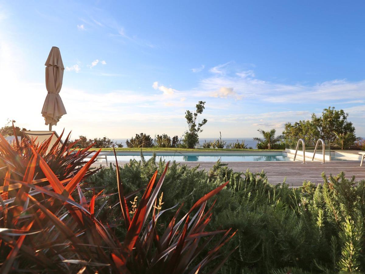 Antiga Fabrica De Cha Guest House Nordestinho Ngoại thất bức ảnh